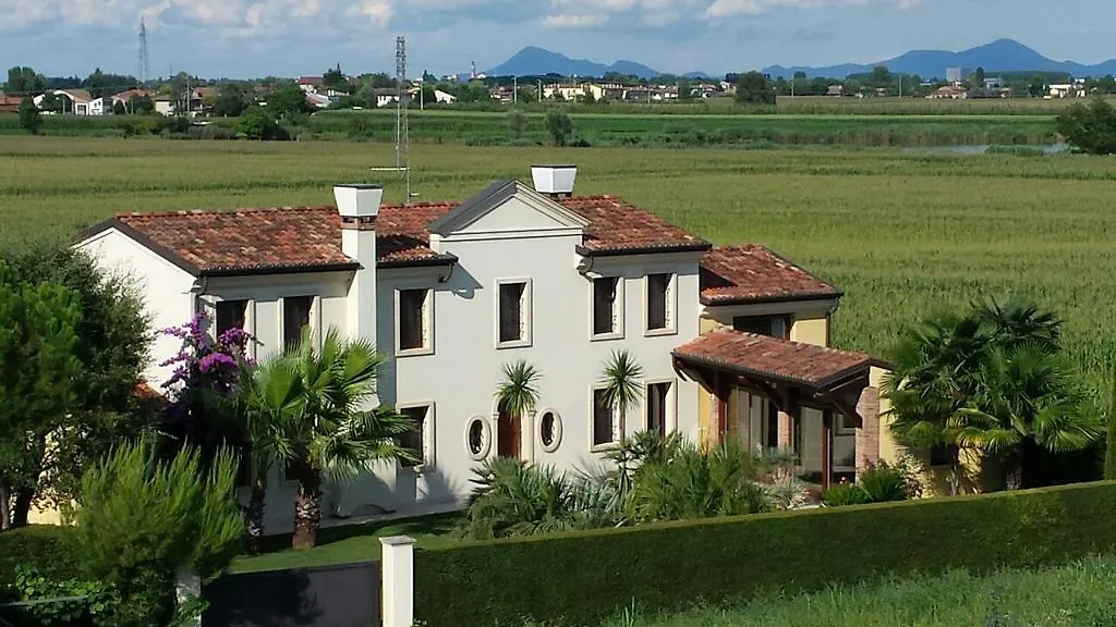 B&B 